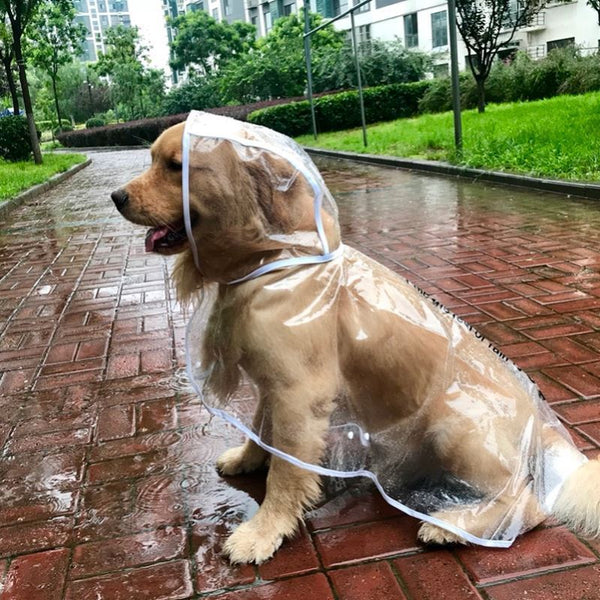 Large Dog Pet Rain Waterproof Raincoat